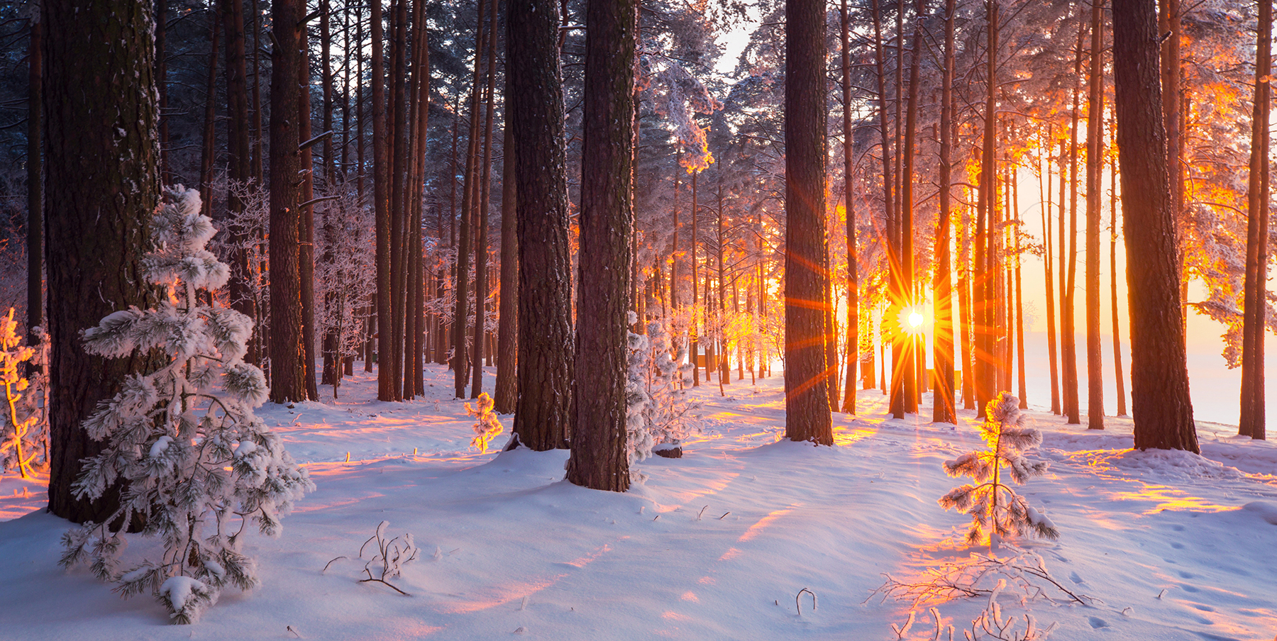 Protected: LET IN THE LIGHT: WHY YOUR BODY NEEDS SUNSHINE THIS WINTER