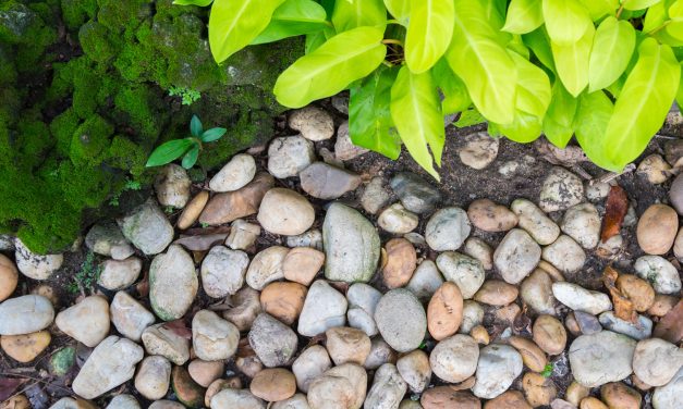 WHEN THERE AREN’T ENOUGH ROCKS