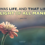 THE LIGHT OF MANKIND