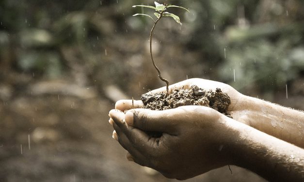 GROWING FAITH