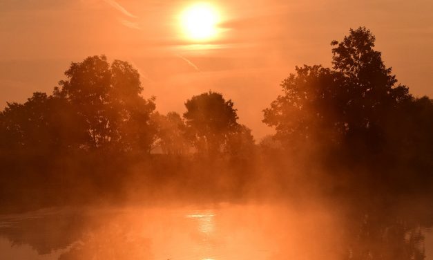 MORNING HAS BROKEN