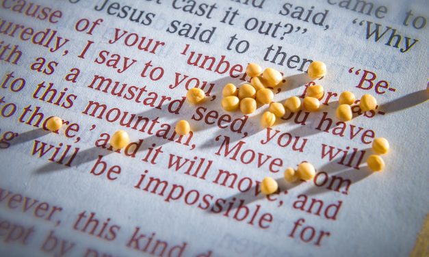 A SEED OF FAITH