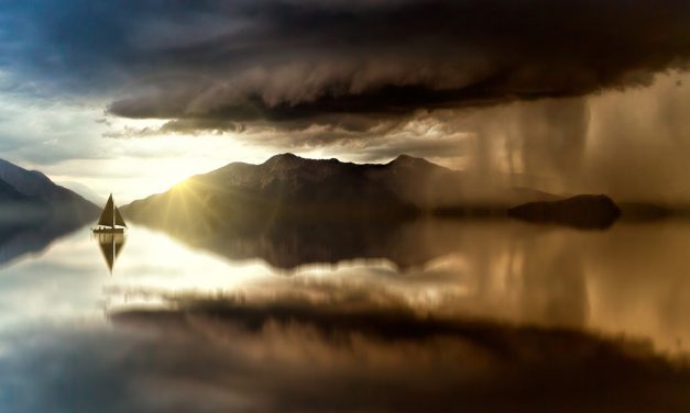 NAVIGATING THE STORM