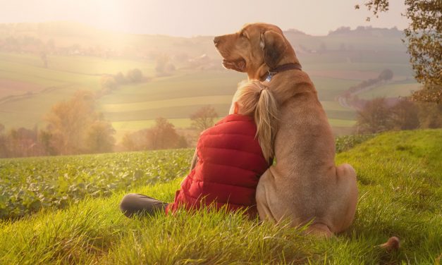 A CANINE COMPANION