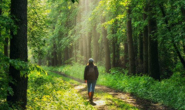 LIVING ON PURPOSE