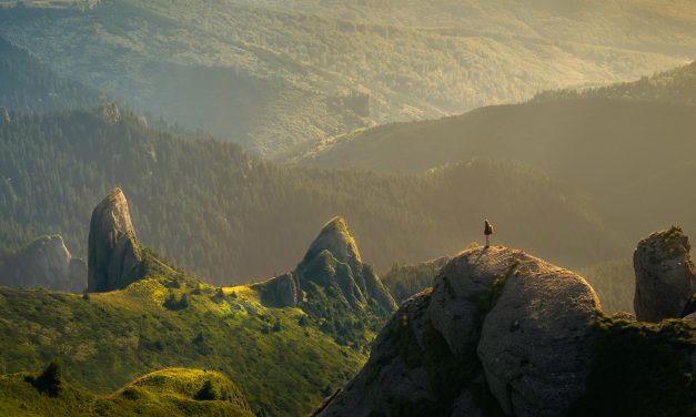 THE JOY OF SPIRITUAL SIMPLICITY