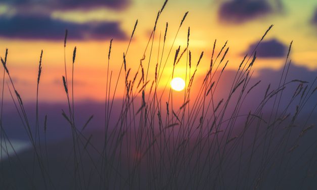 YOU DESERVE A SABBATICAL