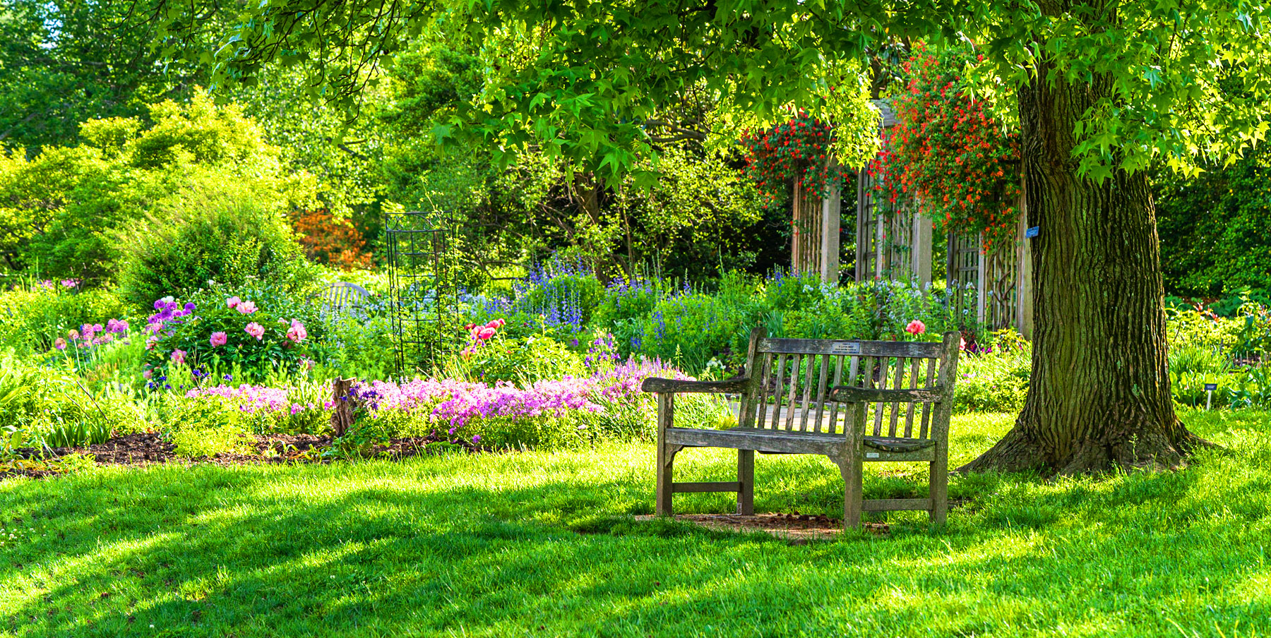 THE GARDEN CHAIR
